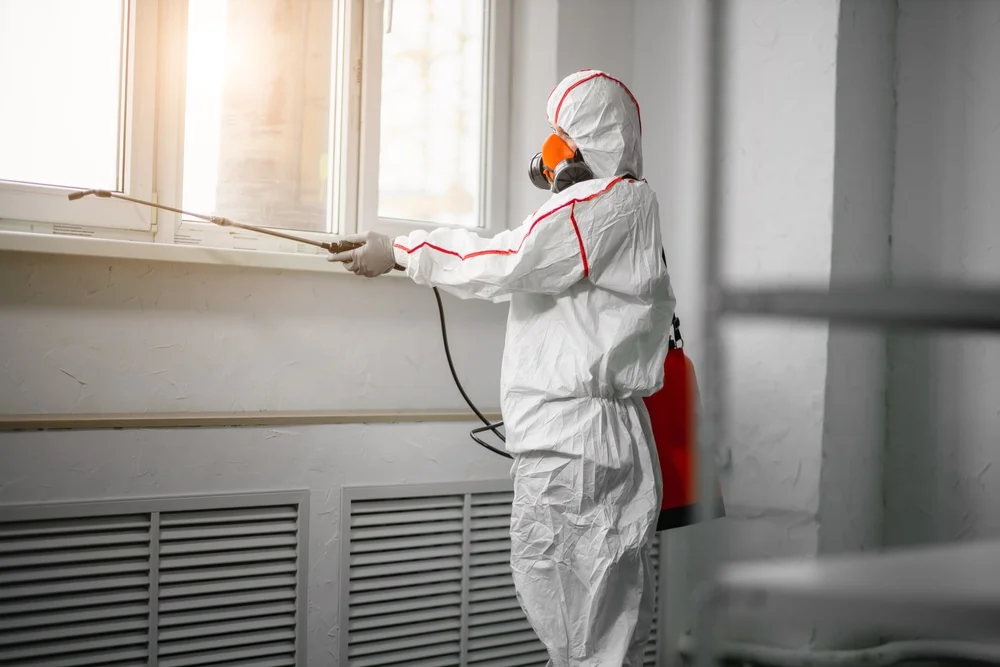 Professional mold remediation services in Hampton, AR